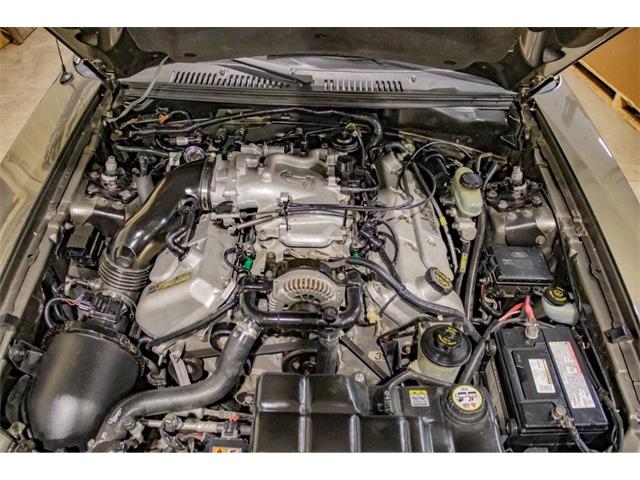2001 Ford Mustang SVT Cobra (CC-2036387) for sale in Spirit Lake, Iowa