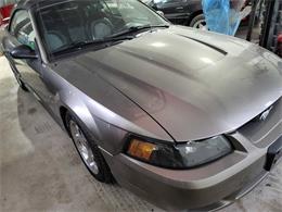 2001 Ford Mustang SVT Cobra (CC-2036387) for sale in Spirit Lake, Iowa