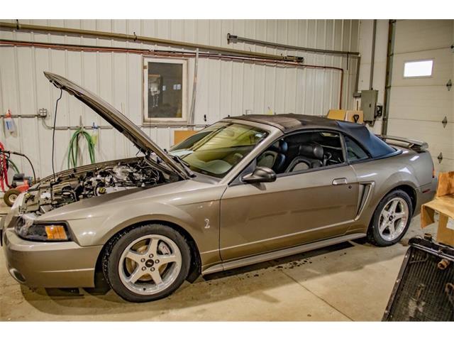 2001 Ford Mustang SVT Cobra (CC-2036387) for sale in Spirit Lake, Iowa