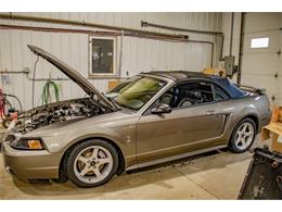 2001 Ford Mustang SVT Cobra (CC-2036387) for sale in Spirit Lake, Iowa