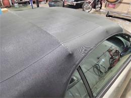 2001 Ford Mustang SVT Cobra (CC-2036387) for sale in Spirit Lake, Iowa