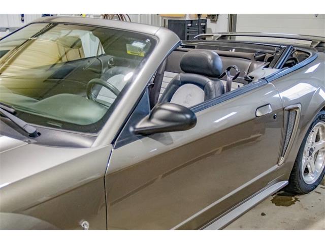2001 Ford Mustang SVT Cobra (CC-2036387) for sale in Spirit Lake, Iowa