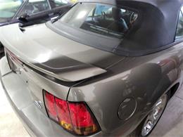 2001 Ford Mustang SVT Cobra (CC-2036387) for sale in Spirit Lake, Iowa