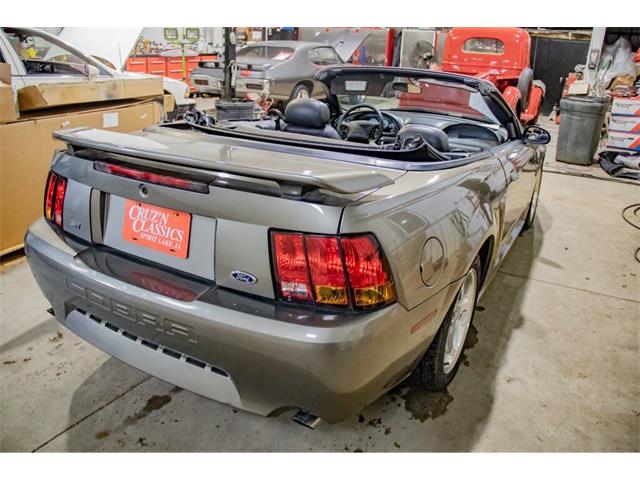 2001 Ford Mustang SVT Cobra (CC-2036387) for sale in Spirit Lake, Iowa
