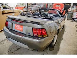 2001 Ford Mustang SVT Cobra (CC-2036387) for sale in Spirit Lake, Iowa