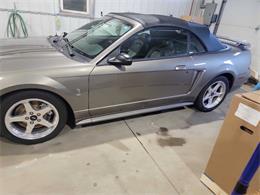 2001 Ford Mustang SVT Cobra (CC-2036387) for sale in Spirit Lake, Iowa