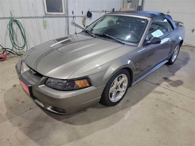 2001 Ford Mustang SVT Cobra (CC-2036387) for sale in Spirit Lake, Iowa