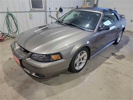 2001 Ford Mustang SVT Cobra (CC-2036387) for sale in Spirit Lake, Iowa