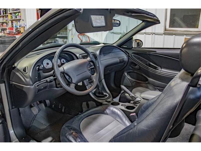 2001 Ford Mustang SVT Cobra (CC-2036387) for sale in Spirit Lake, Iowa
