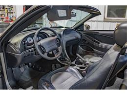 2001 Ford Mustang SVT Cobra (CC-2036387) for sale in Spirit Lake, Iowa
