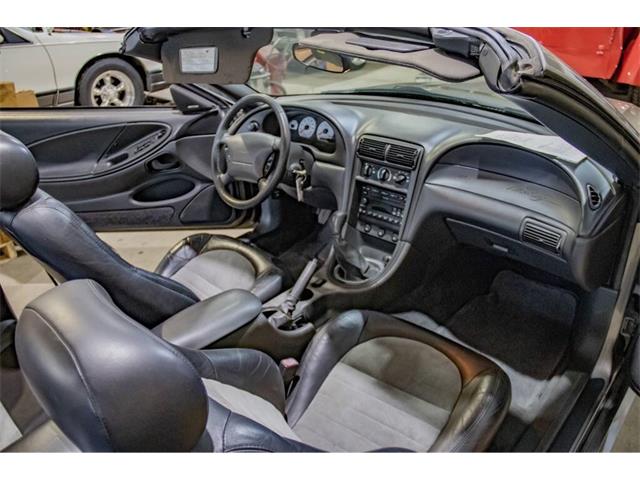 2001 Ford Mustang SVT Cobra (CC-2036387) for sale in Spirit Lake, Iowa