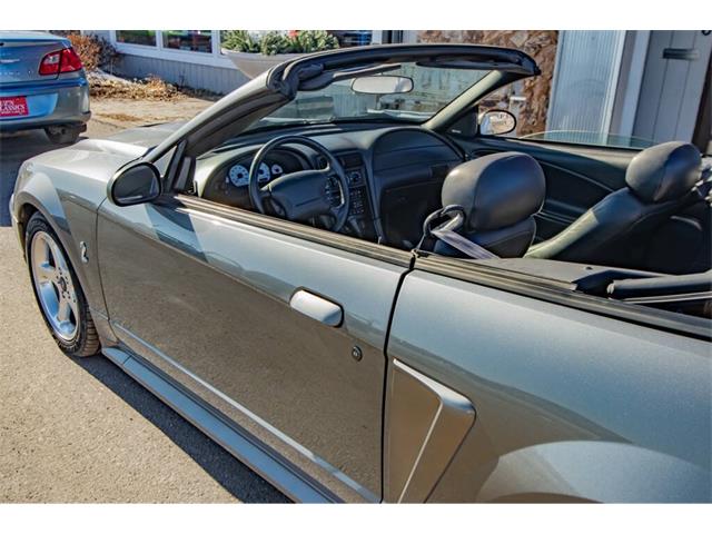 2001 Ford Mustang SVT Cobra (CC-2036387) for sale in Spirit Lake, Iowa