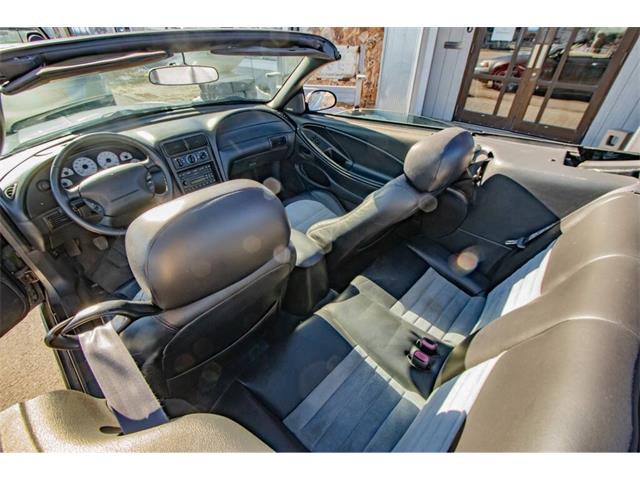 2001 Ford Mustang SVT Cobra (CC-2036387) for sale in Spirit Lake, Iowa