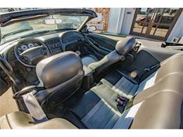2001 Ford Mustang SVT Cobra (CC-2036387) for sale in Spirit Lake, Iowa