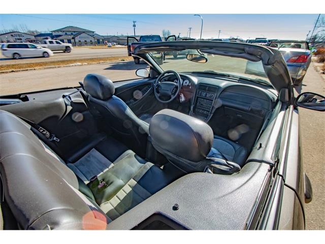 2001 Ford Mustang SVT Cobra (CC-2036387) for sale in Spirit Lake, Iowa
