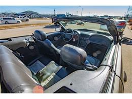 2001 Ford Mustang SVT Cobra (CC-2036387) for sale in Spirit Lake, Iowa