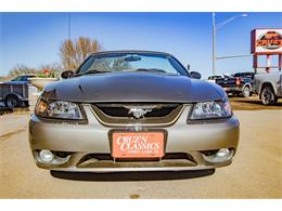2001 Ford Mustang SVT Cobra (CC-2036387) for sale in Spirit Lake, Iowa