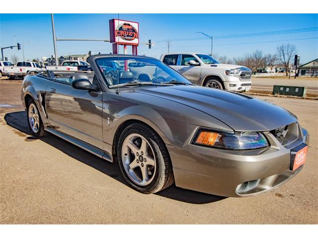 2001 Ford Mustang SVT Cobra (CC-2036387) for sale in Spirit Lake, Iowa