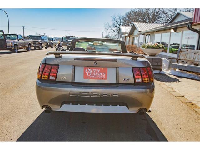 2001 Ford Mustang SVT Cobra (CC-2036387) for sale in Spirit Lake, Iowa