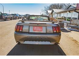2001 Ford Mustang SVT Cobra (CC-2036387) for sale in Spirit Lake, Iowa