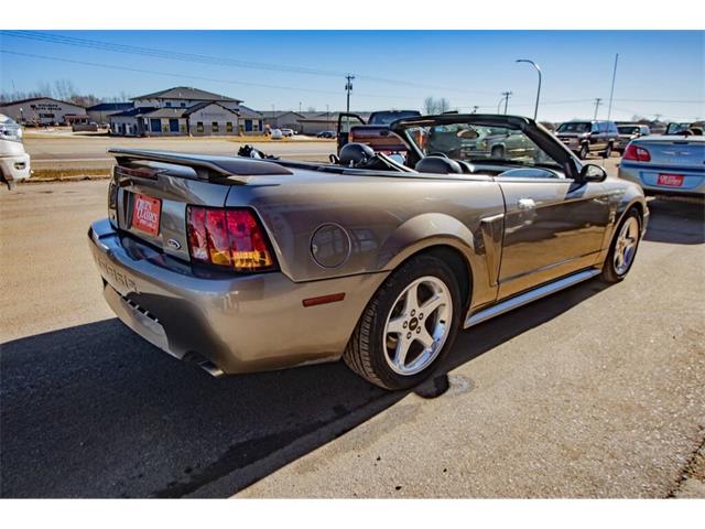 2001 Ford Mustang SVT Cobra (CC-2036387) for sale in Spirit Lake, Iowa