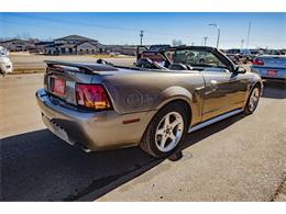2001 Ford Mustang SVT Cobra (CC-2036387) for sale in Spirit Lake, Iowa