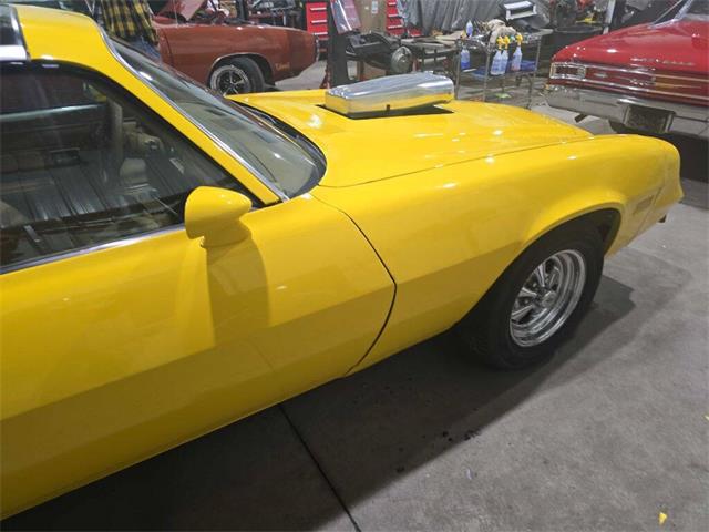 1980 Chevrolet Camaro (CC-2036732) for sale in Spirit Lake, Iowa