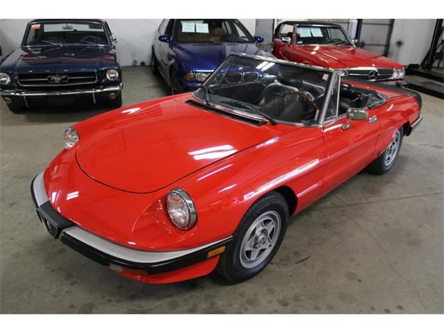 1985 Alfa Romeo Spider (CC-2037937) for sale in Kentwood, Michigan