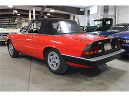 1985 Alfa Romeo Spider (CC-2037937) for sale in Kentwood, Michigan