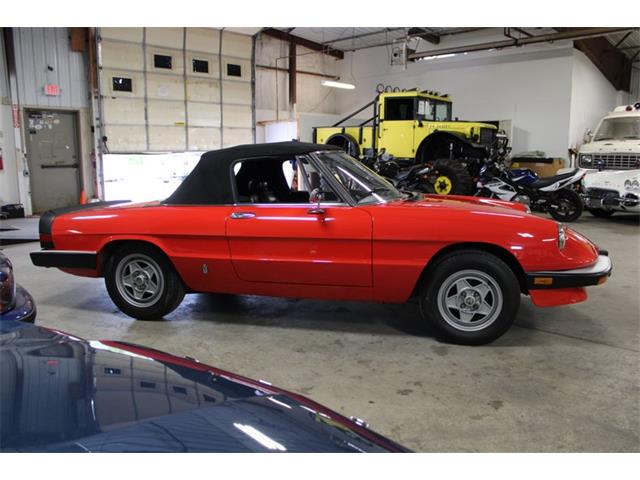 1985 Alfa Romeo Spider (CC-2037937) for sale in Kentwood, Michigan
