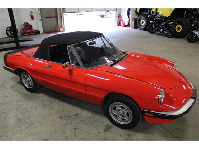 1985 Alfa Romeo Spider (CC-2037937) for sale in Kentwood, Michigan