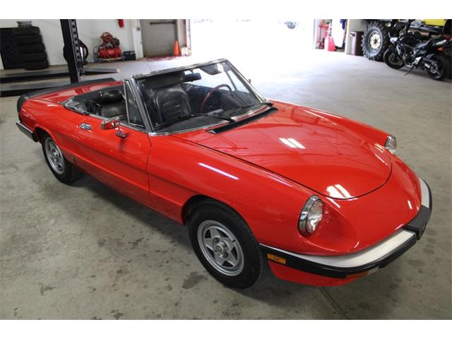 1985 Alfa Romeo Spider (CC-2037937) for sale in Kentwood, Michigan