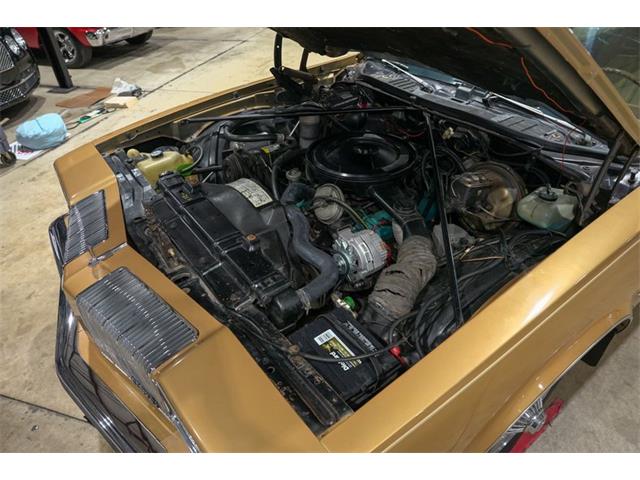 1977 Oldsmobile Cutlass Supreme (CC-2038066) for sale in Kentwood, Michigan