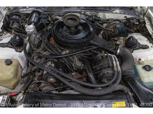 1984 Pontiac Firebird (CC-2038292) for sale in Kentwood, Michigan