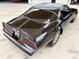 1977 Pontiac Firebird (CC-2038624) for sale in Bradenton, Florida