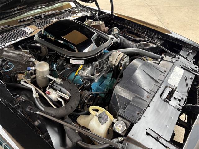 1977 Pontiac Firebird (CC-2038624) for sale in Bradenton, Florida