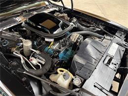 1977 Pontiac Firebird (CC-2038624) for sale in Bradenton, Florida