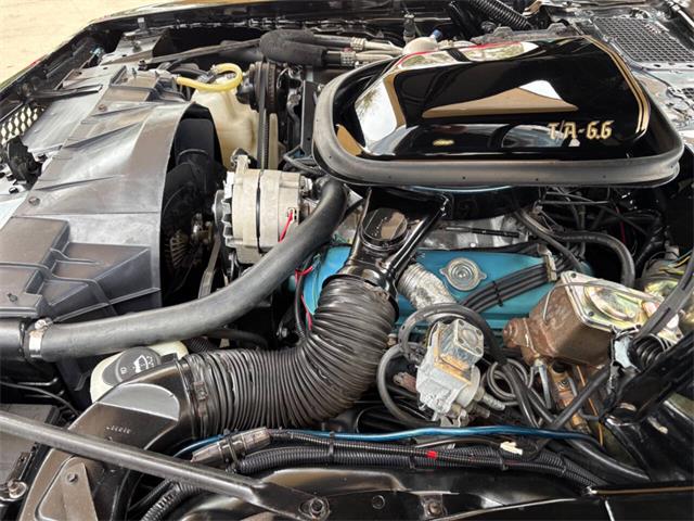 1977 Pontiac Firebird (CC-2038624) for sale in Bradenton, Florida