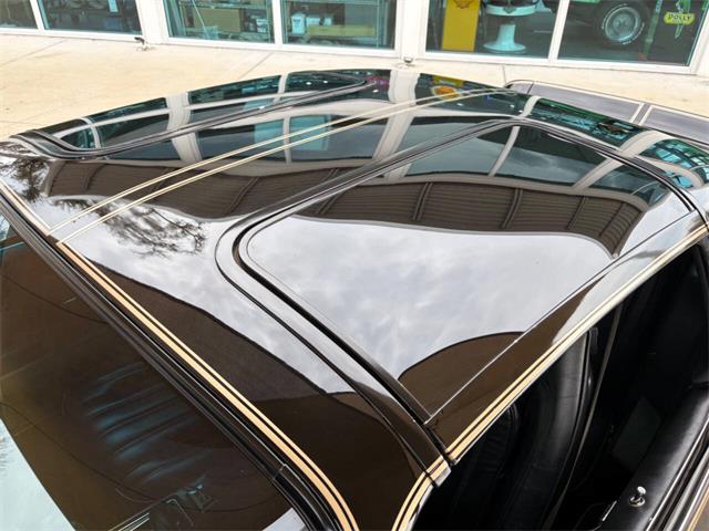 1977 Pontiac Firebird (CC-2038624) for sale in Bradenton, Florida