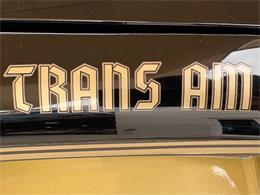 1977 Pontiac Firebird (CC-2038624) for sale in Bradenton, Florida
