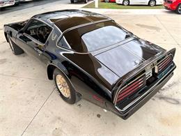 1977 Pontiac Firebird (CC-2038624) for sale in Bradenton, Florida