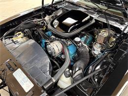 1977 Pontiac Firebird (CC-2038624) for sale in Bradenton, Florida