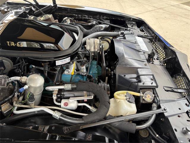 1977 Pontiac Firebird (CC-2038624) for sale in Bradenton, Florida