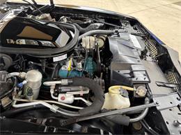 1977 Pontiac Firebird (CC-2038624) for sale in Bradenton, Florida
