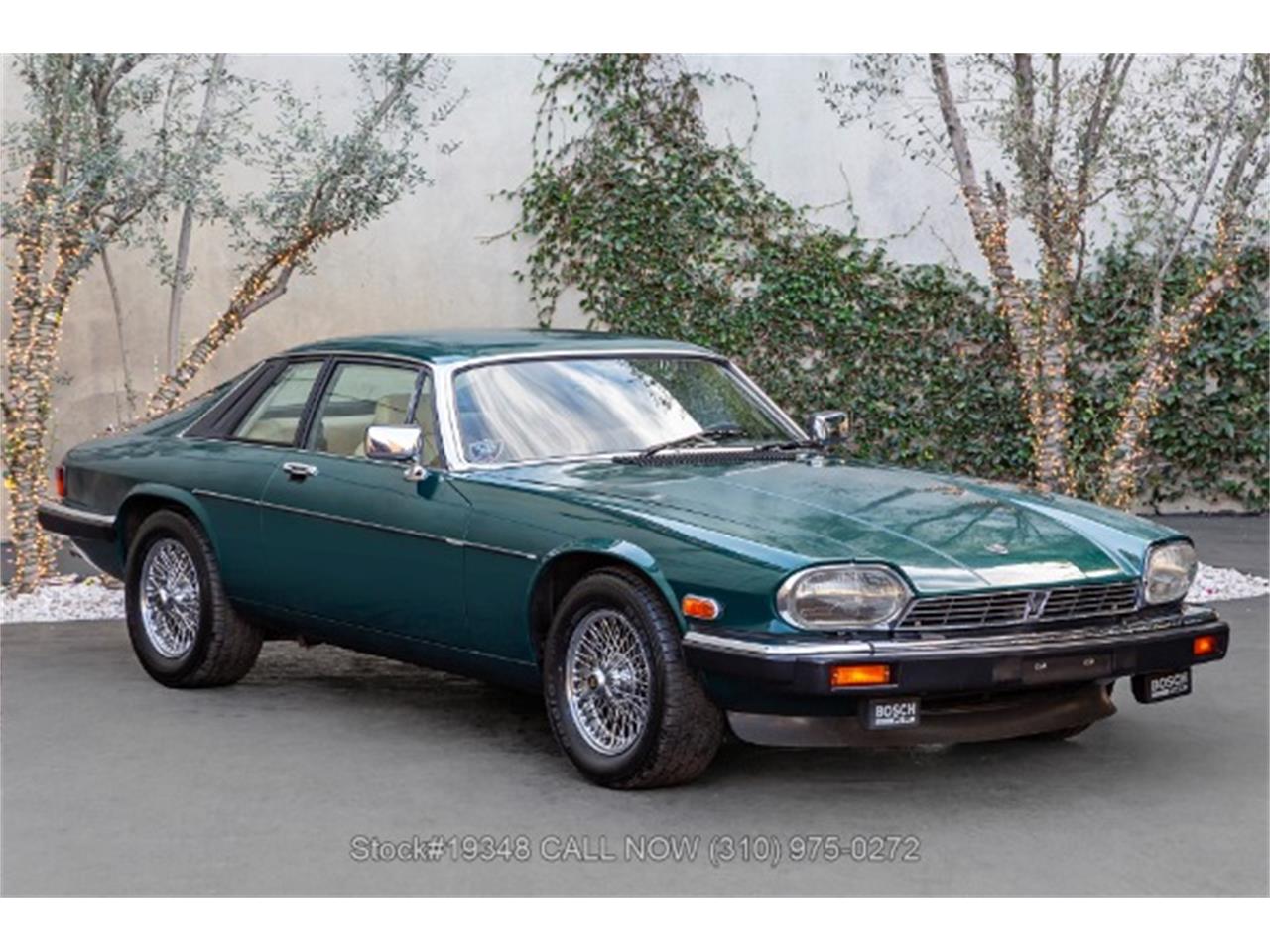 83 Xjs 1983 Jaguar XJS for Sale | ClassicCars.com | CC-2039423