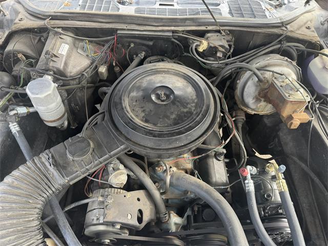 1977 Chevrolet Monte Carlo (CC-2039579) for sale in Blaine, Minnesota