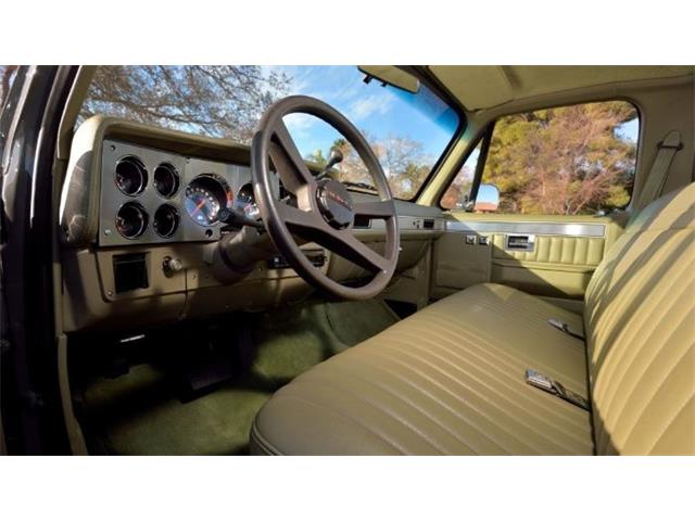 1984 Chevrolet C10 (CC-2044804) for sale in Cadillac, Michigan