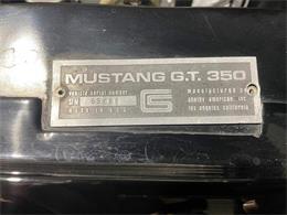 1966 Shelby GT350 (CC-2046206) for sale in Garland, Texas
