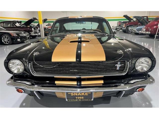 1966 Shelby GT350 (CC-2046206) for sale in Garland, Texas