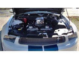 2011 Shelby GT350 (CC-2046210) for sale in Garland, Texas